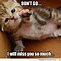 Image result for Funny Cats Saying Funny Things