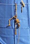 Image result for Hanging Skeleton