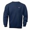 Image result for Blue Nike Sweatshirt