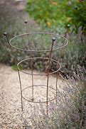 Image result for Decorative Plant Supports