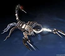 Image result for cool scorpion