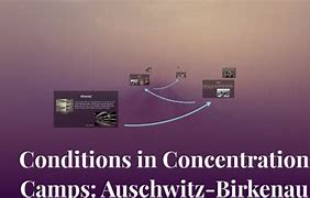 Image result for Concentration Camps in Color