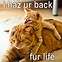 Image result for Funny Life