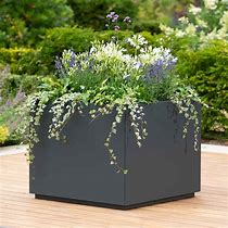 Image result for Large Square Outdoor Planters