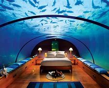 Image result for Underwater Animal House