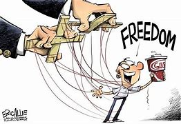 Image result for Government Control Cartoon
