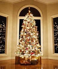 Image result for Big Beautiful Christmas Tree