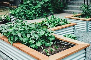 Image result for Small Raised Bed Garden Ideas