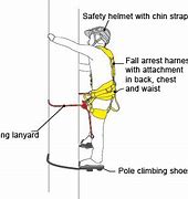 Image result for By Pole Hanging Method