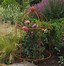 Image result for Pot Plant Supports