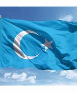Image result for Muslimport Dogu Turkistan