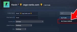 Image result for Steam Profile Set to Private