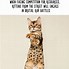 Image result for Awesome Random Facts