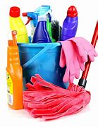Image result for Basic Cleaning Supplies