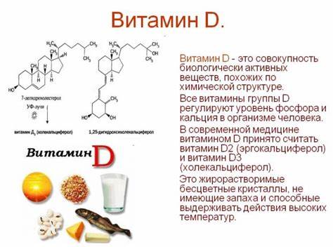 Витамин D: свойства и значение