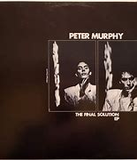 Image result for Peter Murphy Final Solution