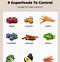Image result for Vitamin Chart