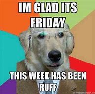 Image result for Dog Friday Memes Funny Work