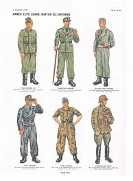 Image result for Waffen SS Uniform Colors