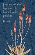 Image result for Spiritual Rumi Quote