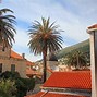 Image result for Dubrovnik City Street View