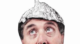 Image result for Tin Foil Hat Paranoid