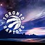 Image result for Toronto Raptors We The North