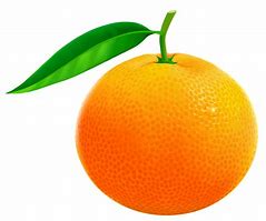 Image result for Orange Fruit Images Clip Art