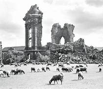 Image result for Dresden Massacre