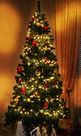 Image result for Christmas Tree Love