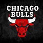 Image result for Chicago Bulls Symbol