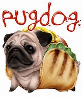Image result for Cute Animal Wallpaper Pugs