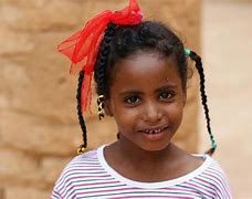 Image result for National Animal of Sudan