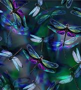 Image result for Dragonfly Dreams