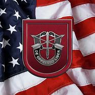 Image result for 19th Special Forces Flag