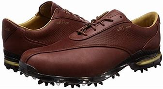 Image result for Adidas Golf Shoes Boa Men