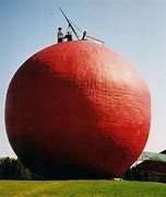 Image result for Largest Apple Ever Recorded