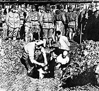 Image result for Nanking Massacre Bodies