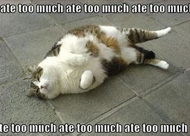 Image result for Funny Eating Food Too Much