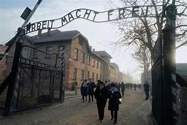 Image result for Auschwitz Film