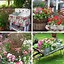 Image result for Items for a Flower Garden