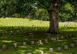 Image result for Soldiers Illinois Civil War