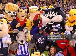 Image result for AFL Mascots