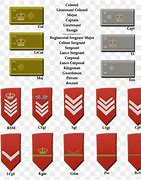 Image result for Napoleonic Rank Insignia