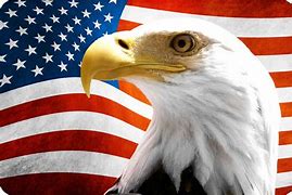 Image result for american eagle decals