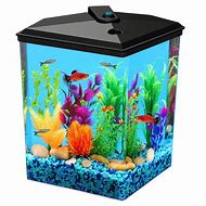 Image result for 5 Gallon Fish Tank Filter