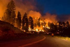 Image result for Wildfire Night