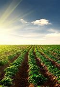 Image result for Beautiful Agriculture Sights