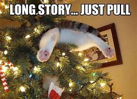 Image result for Christmas Cat Jokes