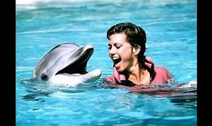 Image result for Olivia Newton John the Promise Dolphin Song